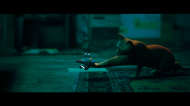 Stray [NINTENDO SWITCH]