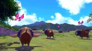 New Pokemon Snap [Nintendo Switch]